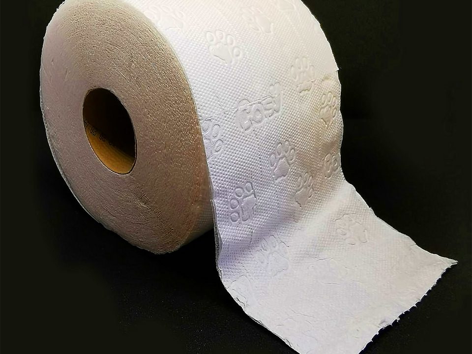 Toilet Paper By A.Koch